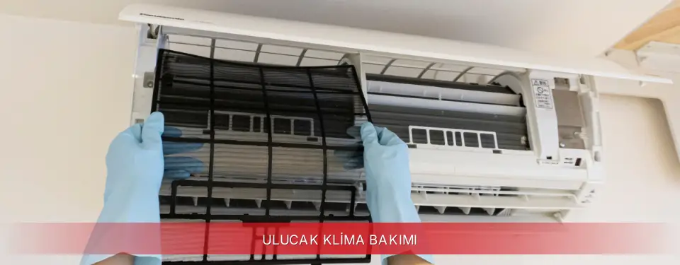 Ulucak İlçemi Regal Klima Bakımı